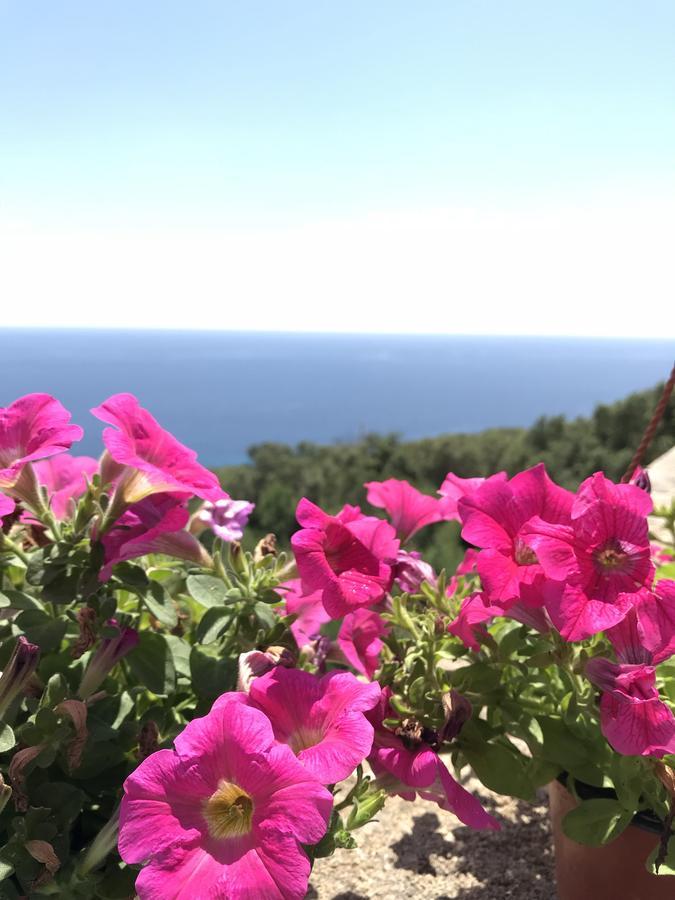 Galatea Casa Vacanze Gagliano del Capo Esterno foto